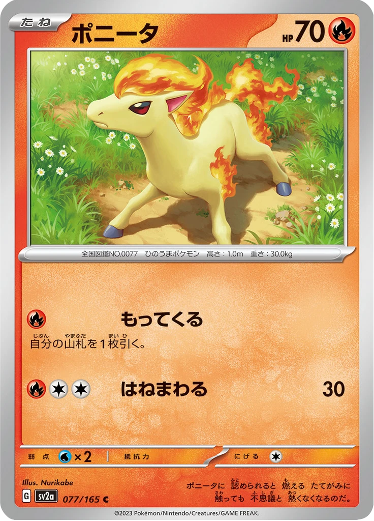 Ponyta Master Ball #77