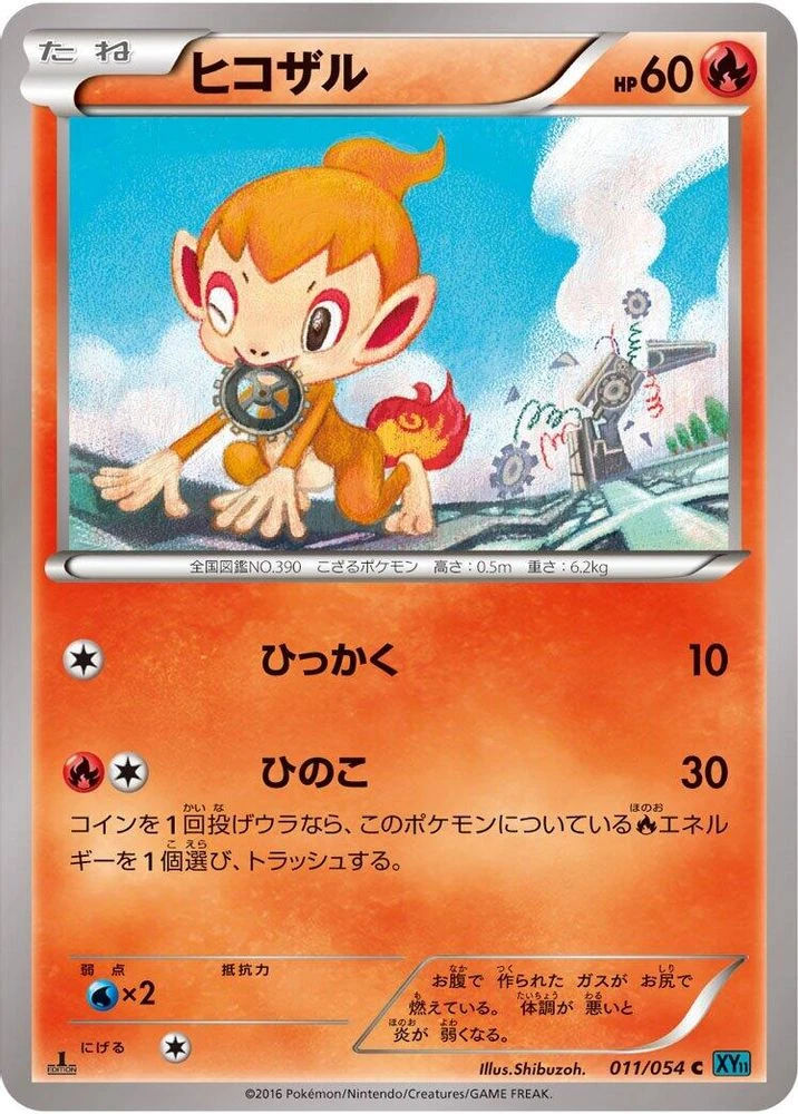 Chimchar #11
