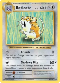 Raticate Reverse Holo