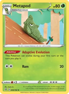 Metapod Reverse Holo