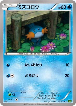 Mudkip #12