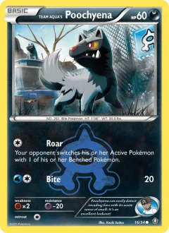 Team Aqua's Poochyena Reverse Holo