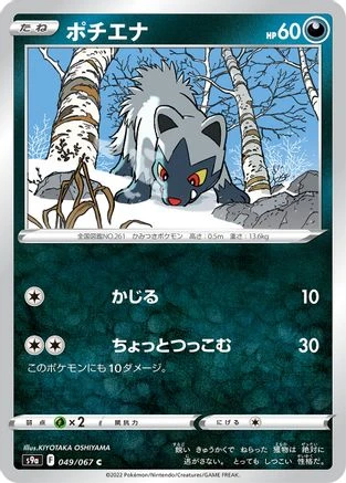 Poochyena #49