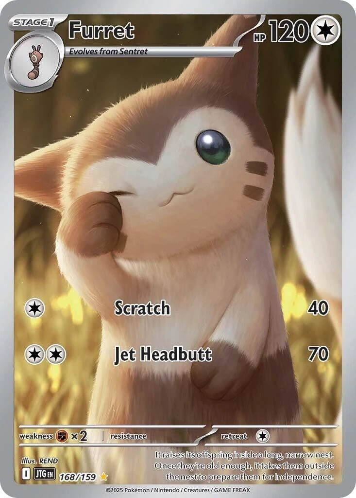 Whitney's Furret #18