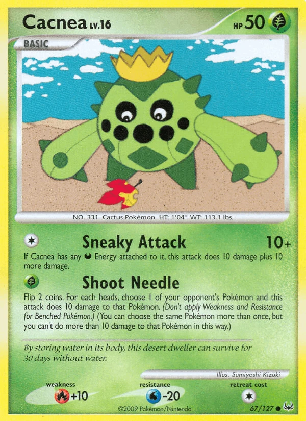 Cacnea #67