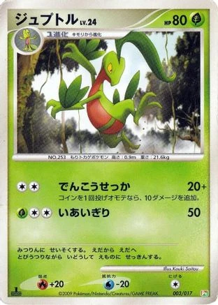 Grovyle 1st Edition #3