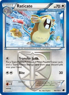 Raticate Reverse Holo