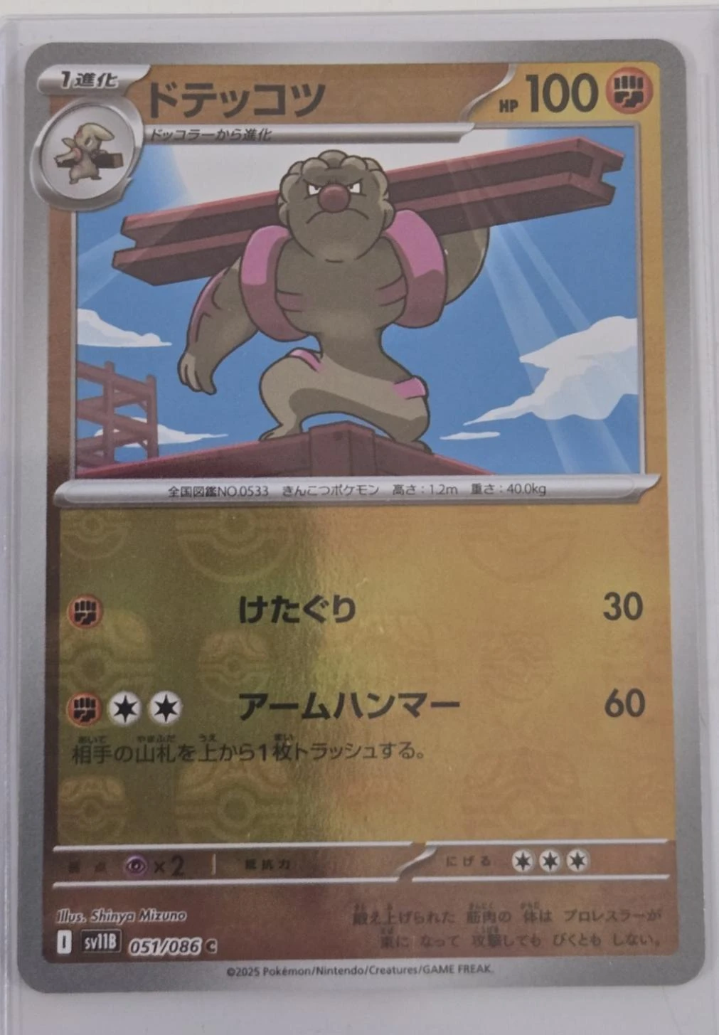 Gurdurr Master Ball #51