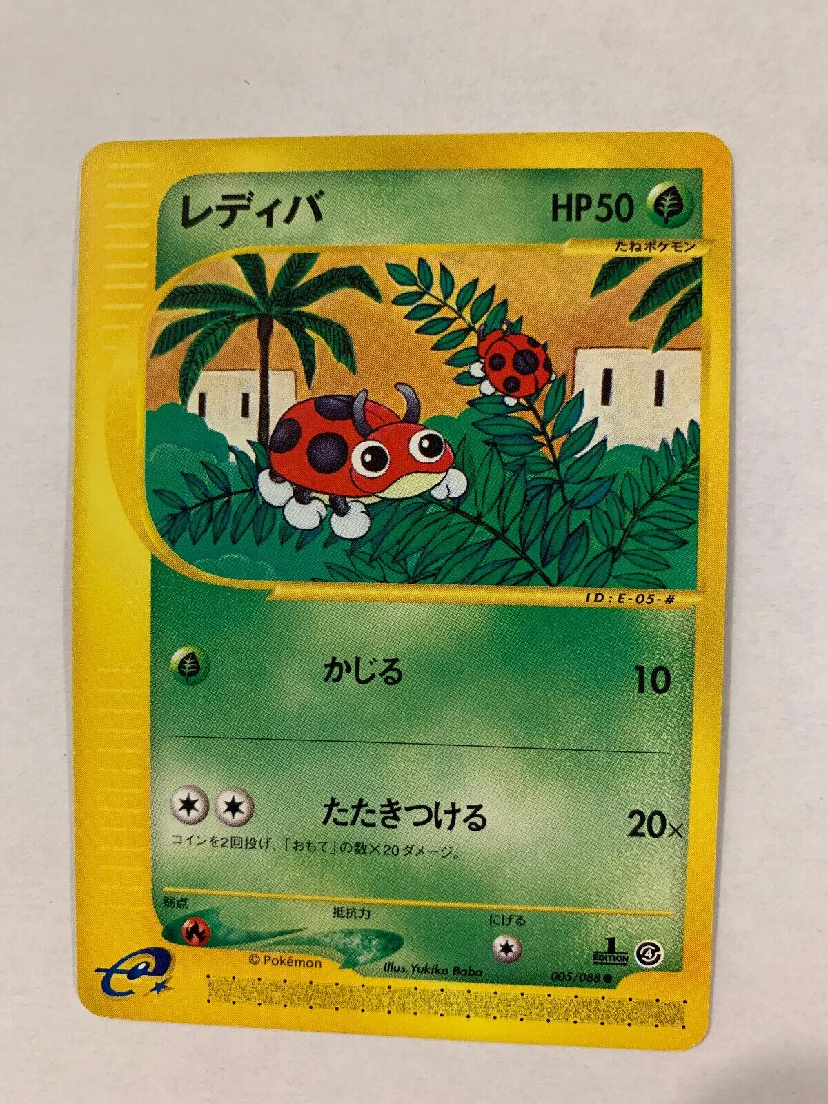 Ledyba #5