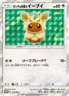 Poncho Wearing Eevee 142sm P