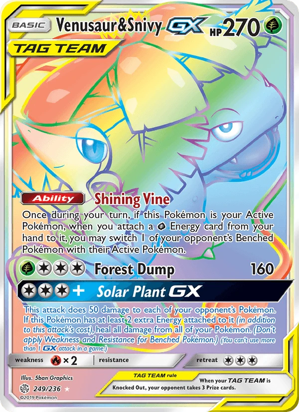 Venusaur & Snivy Gx #249