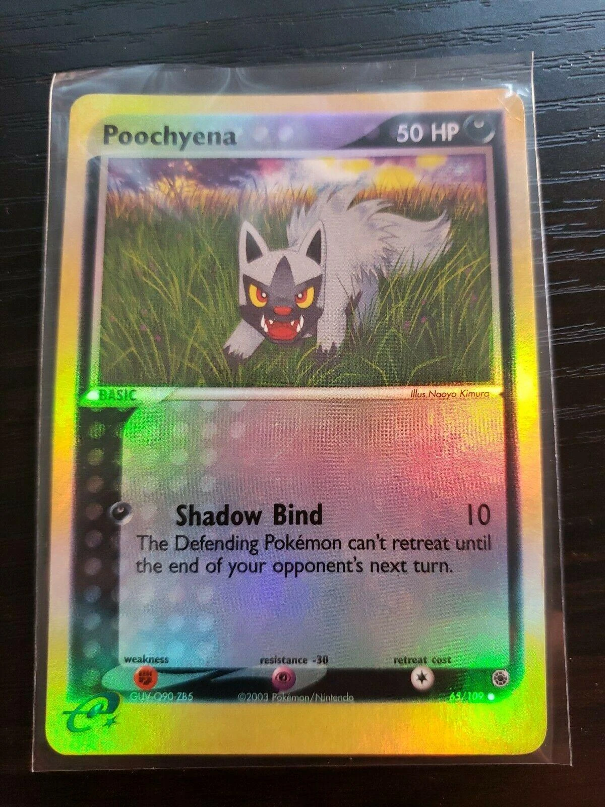 Poochyena Reverse Holo #65