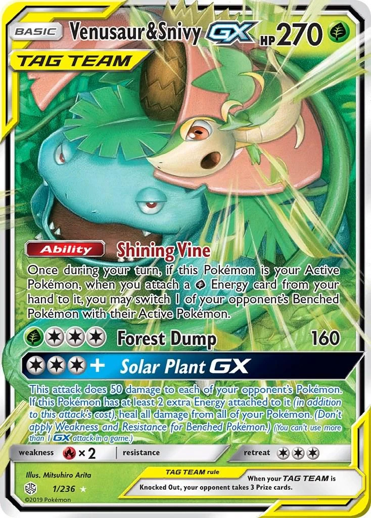 Venusaur & Snivy Gx #1