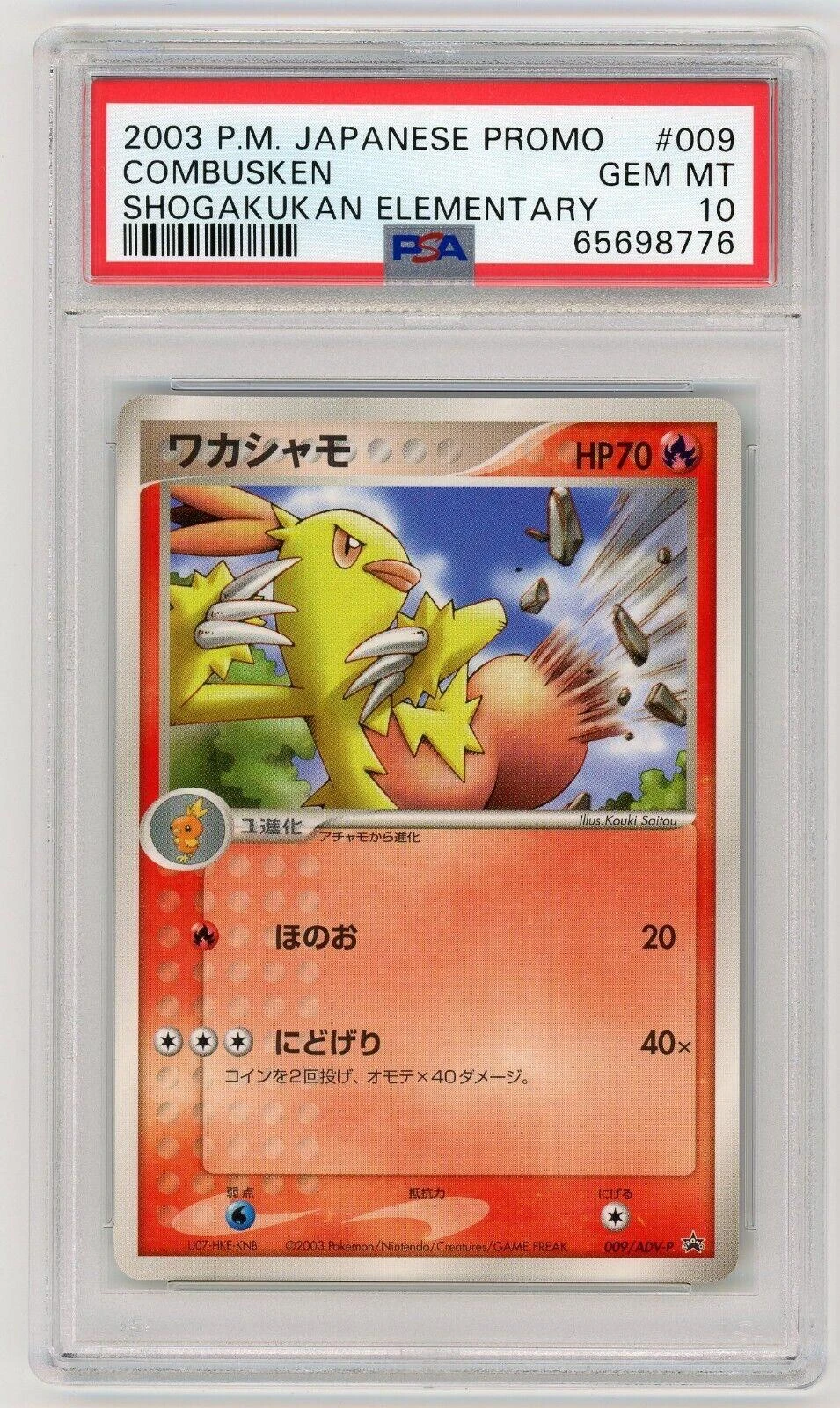 Combusken Shogakukan Elementary #9