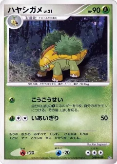 Grotle 1st Edition