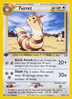 Furret 1st Edition