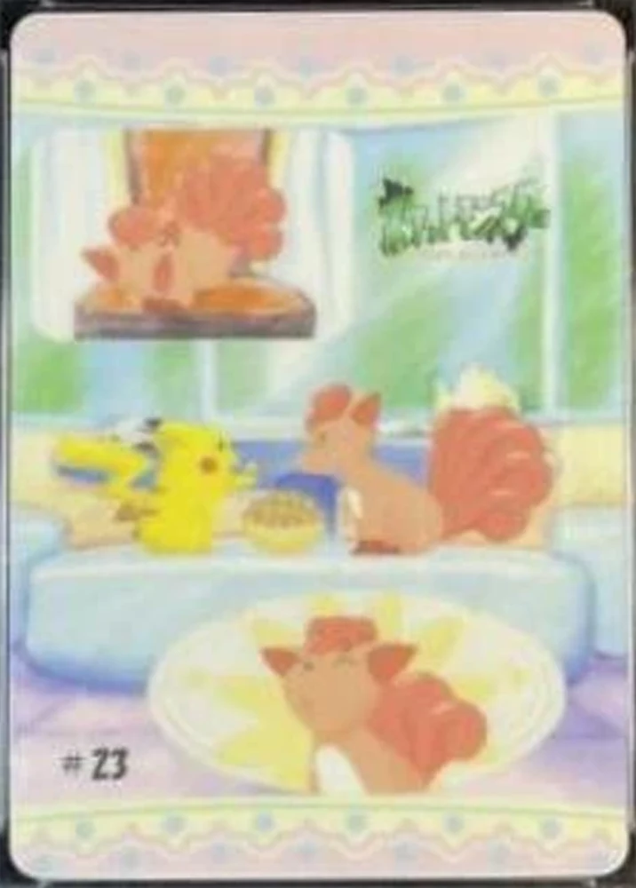 Pikachu & Rokon #23