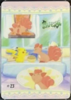 Pikachu & Rokon