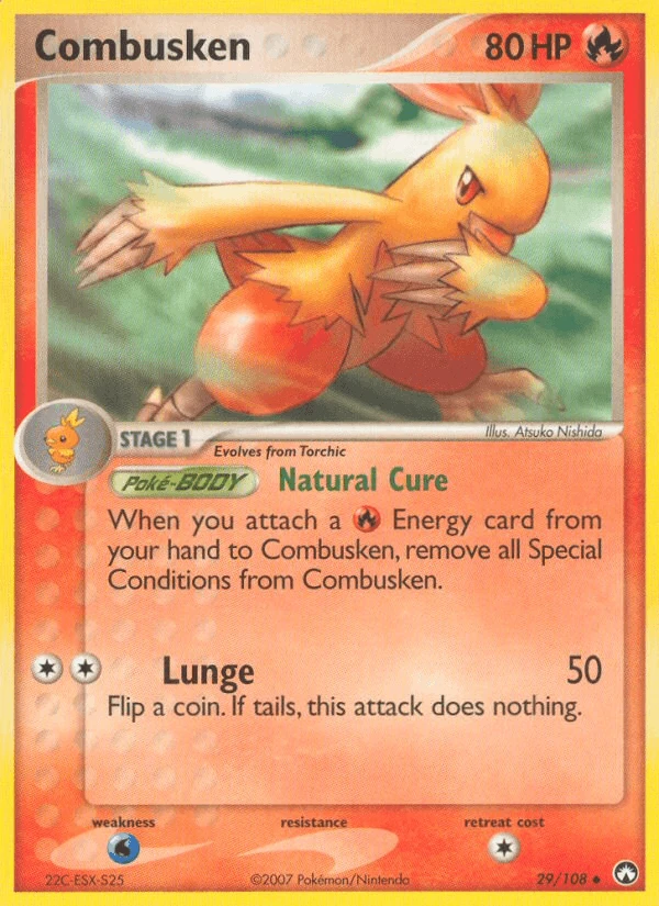 Combusken #29