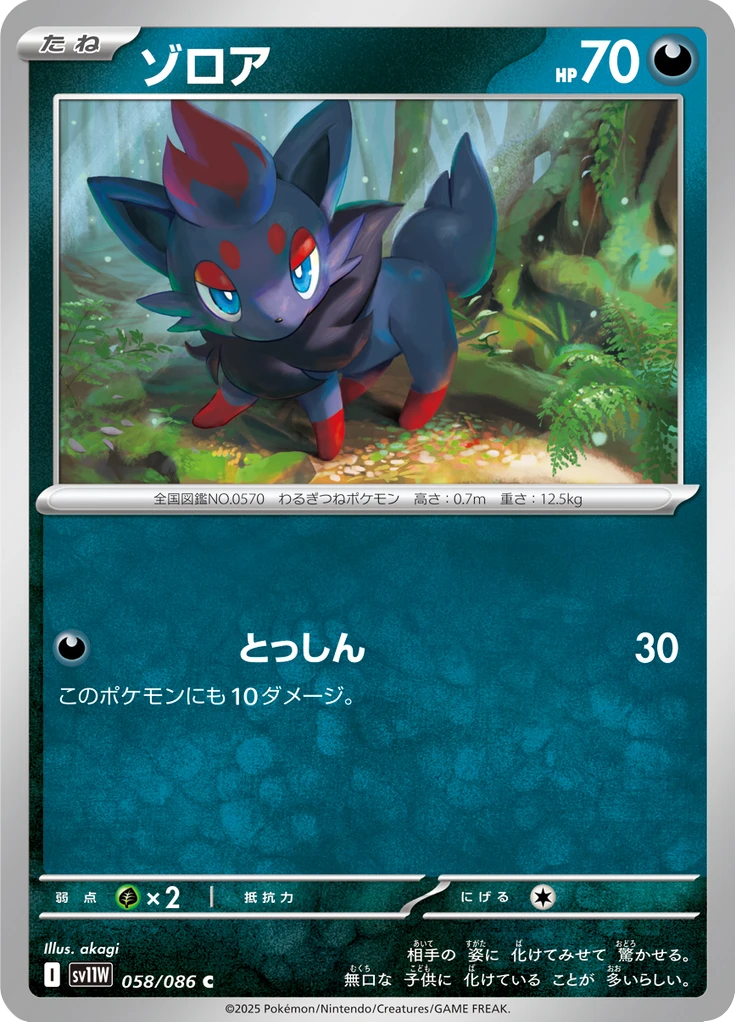 Zorua Master Ball #58