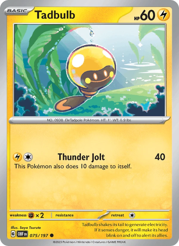 Tadbulb #75