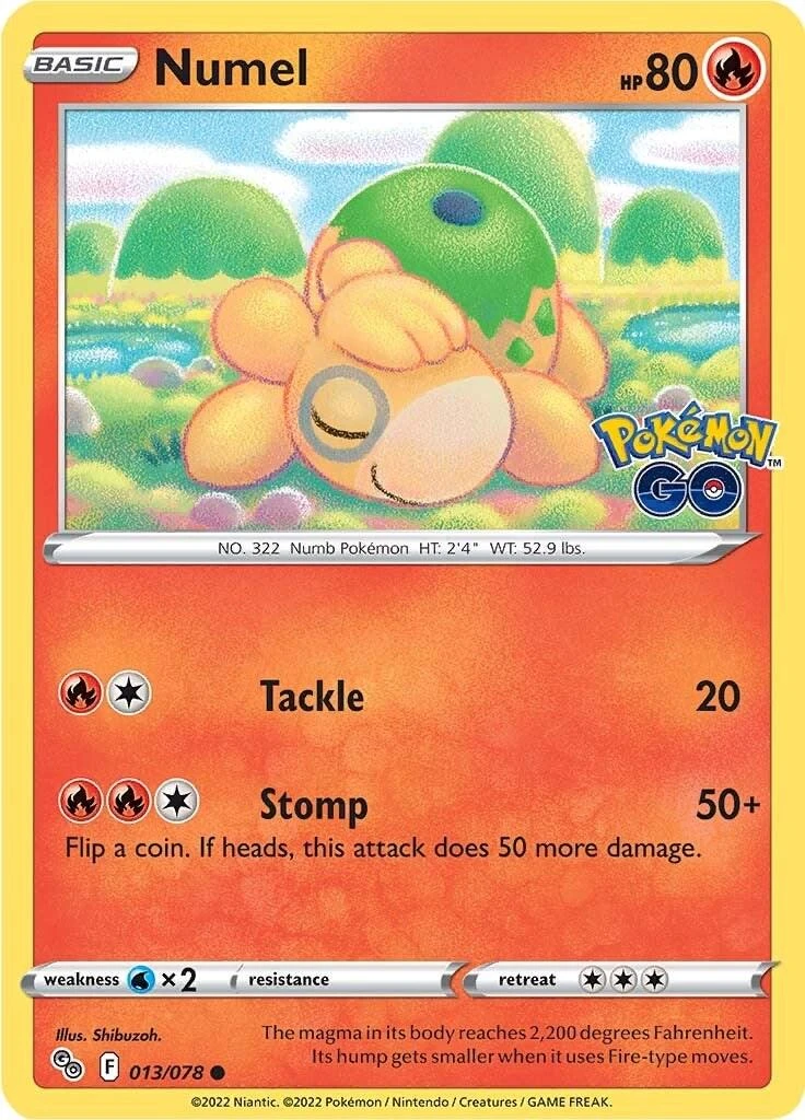 Numel #13