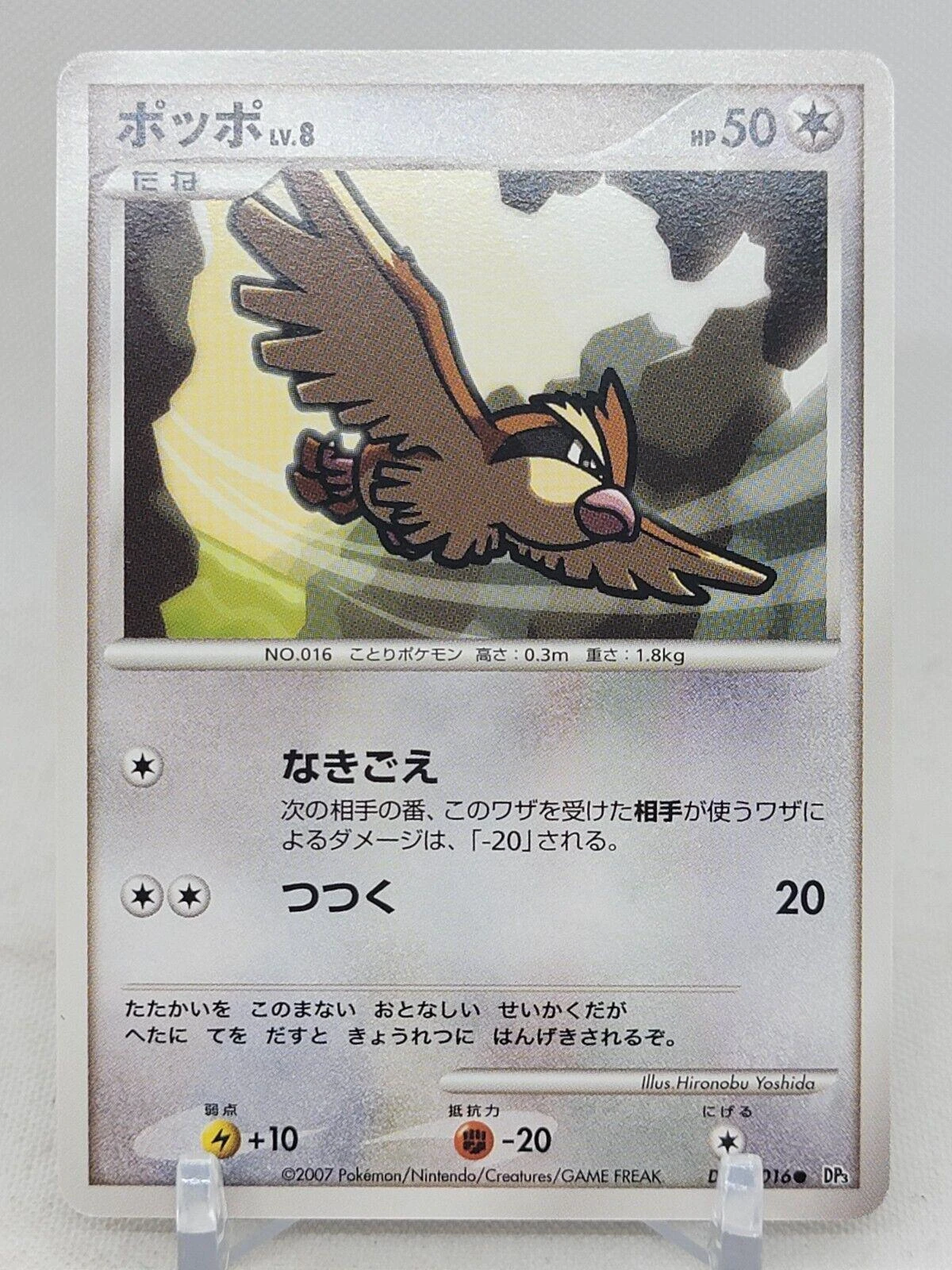 Pidgey