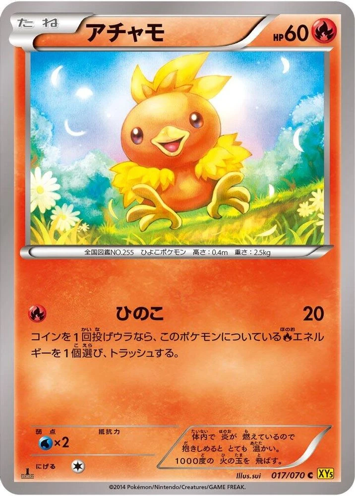 Torchic #17