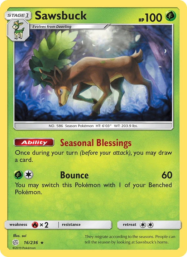 Sawsbuck #16