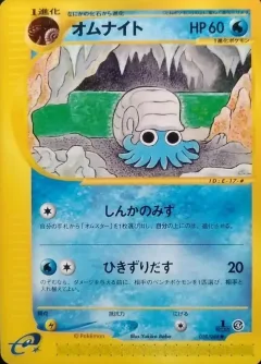 Omanyte 1st Edition