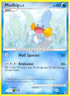 Mudkip Reverse Holo