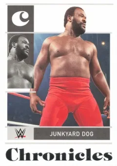 Junkyard Dog