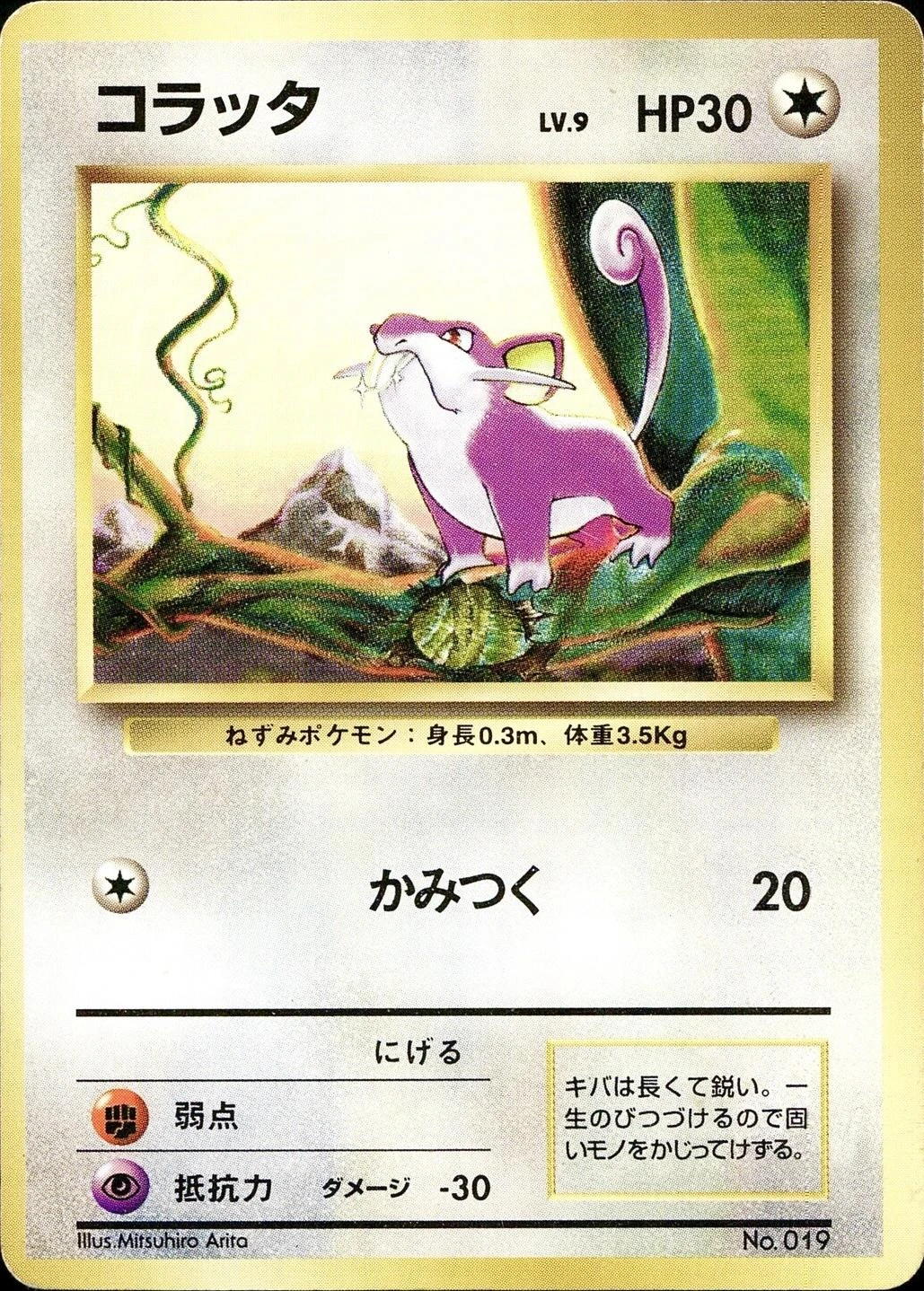 Rattata No Rarity #19