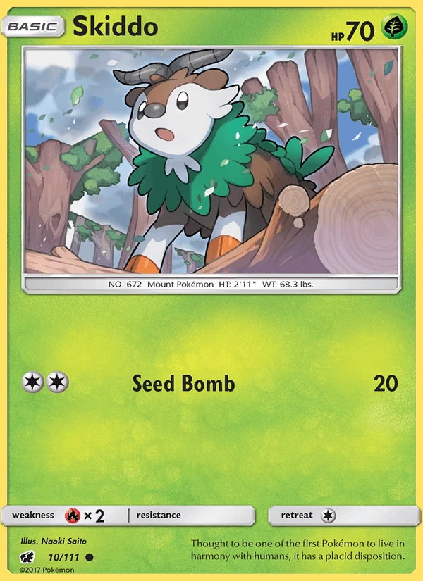 Skiddo #10