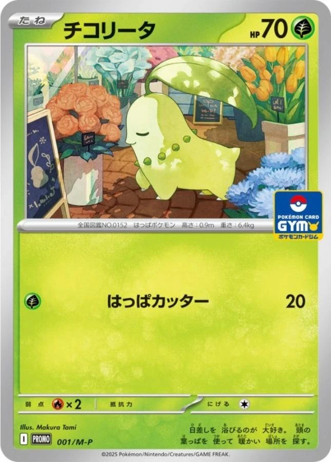 Chikorita Gym #1/M-P