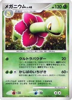 Meganium 1st Edition