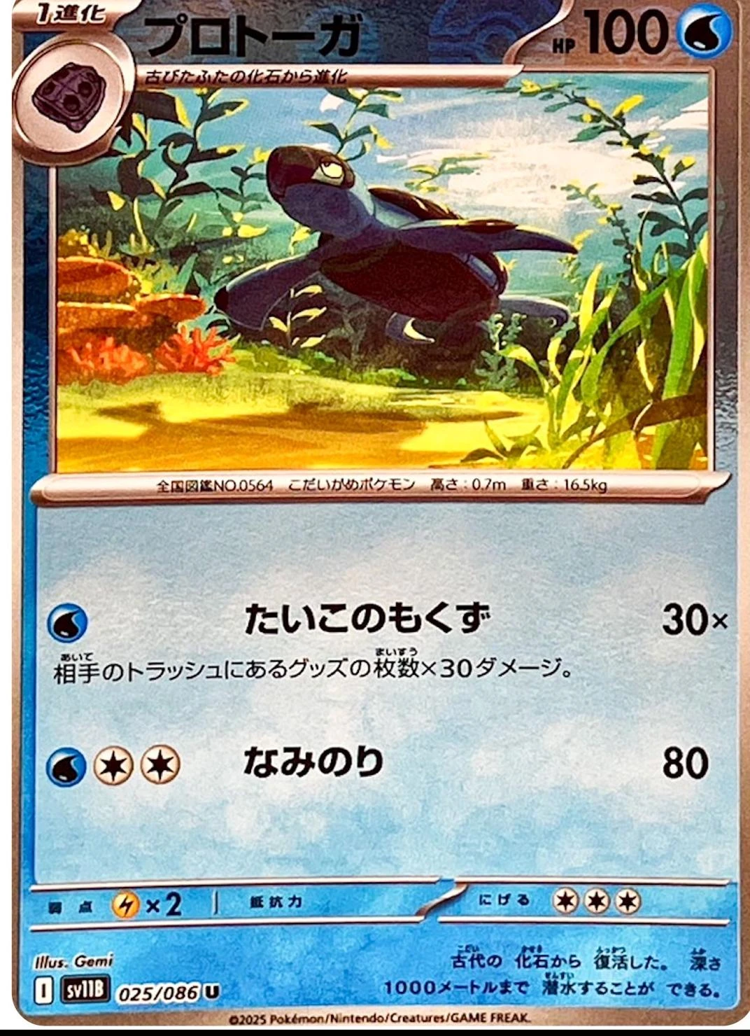 Tirtouga Poke Ball #25