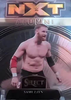 Sami Zayn