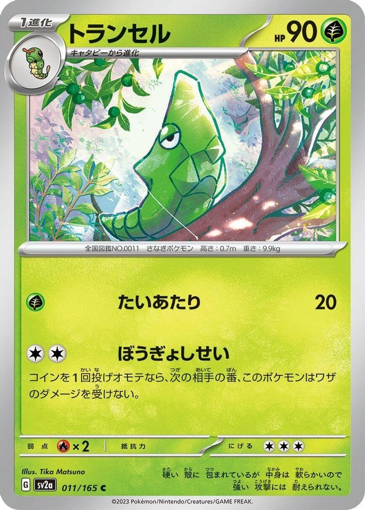 Metapod #11
