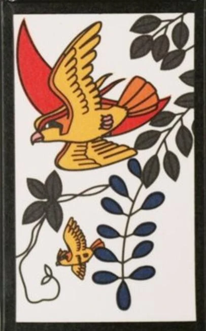 Pidgeot, Pidgey April