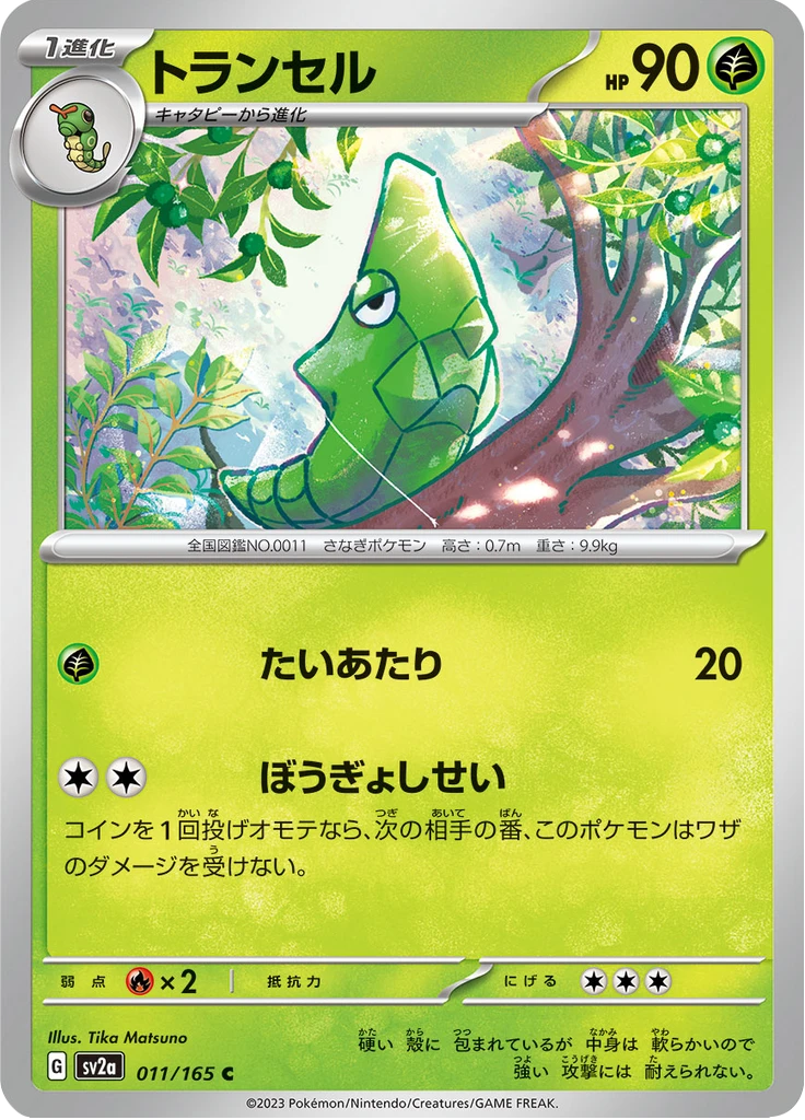 Metapod Master Ball #11