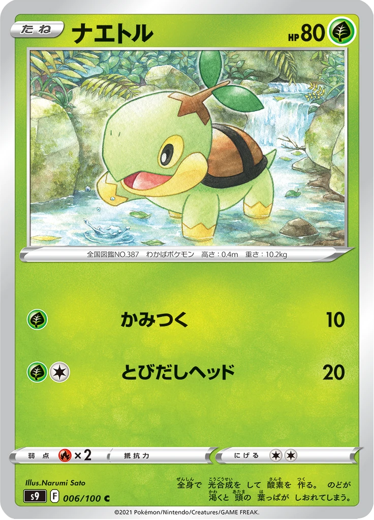 Turtwig #6