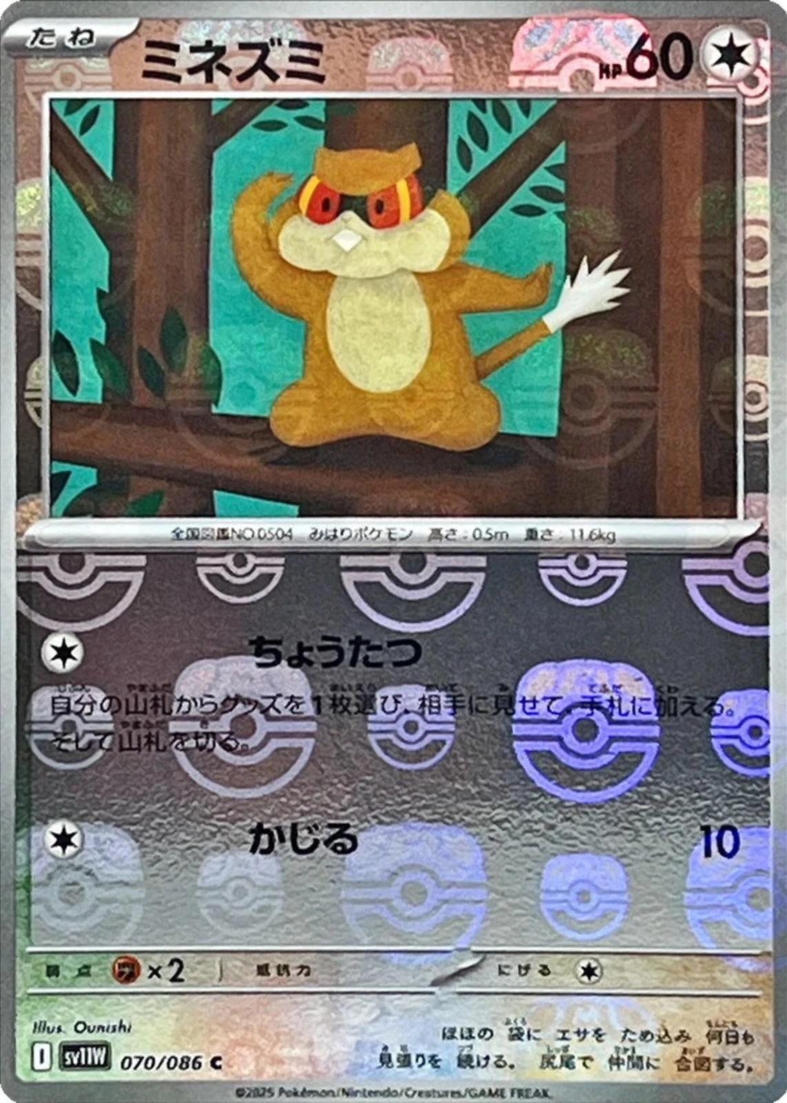 Patrat Master Ball #70