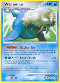 Walrein Reverse Holo