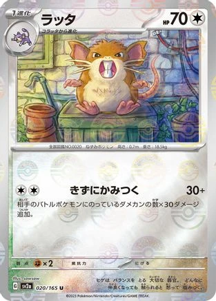 Raticate Reverse #20