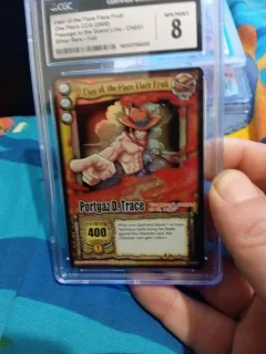 User of the Flame Flare Fruit