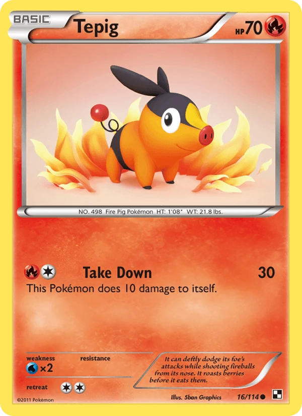 Tepig #16