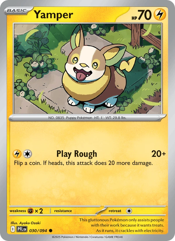 Yamper #30