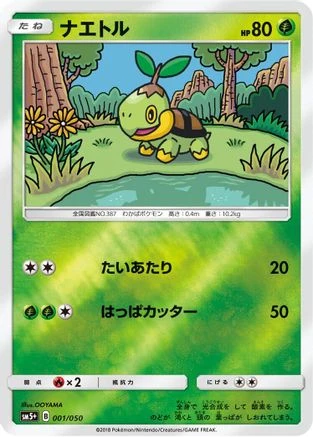 Turtwig #1