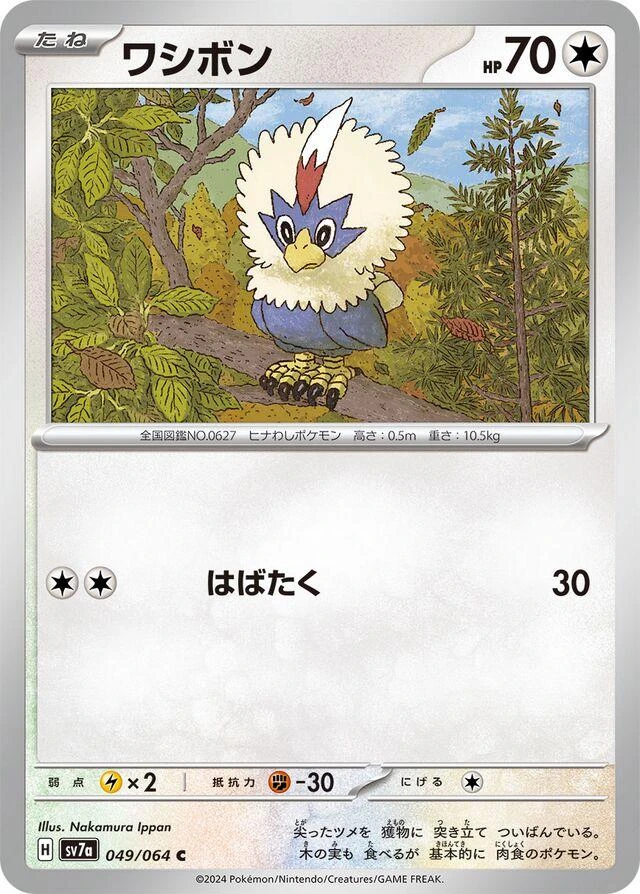 Rufflet #49